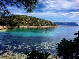 Cala Moresca (Sardegna)