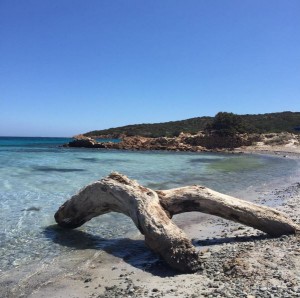 Cala Portese (Sardegna)