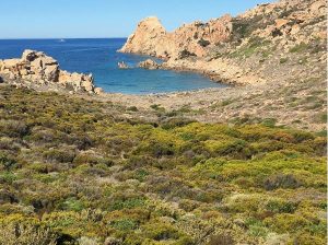 La Cala dei Morti (Isola Razzoli)