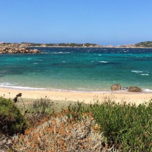 Spiaggia del Cardellino (La Maddalena)