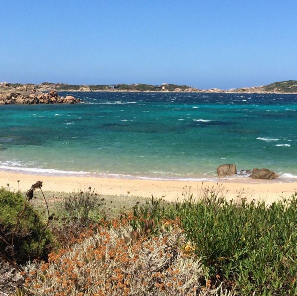 Spiaggia del Cardellino (La Maddalena) Spiaggia del Cardellino (La Maddalena)
