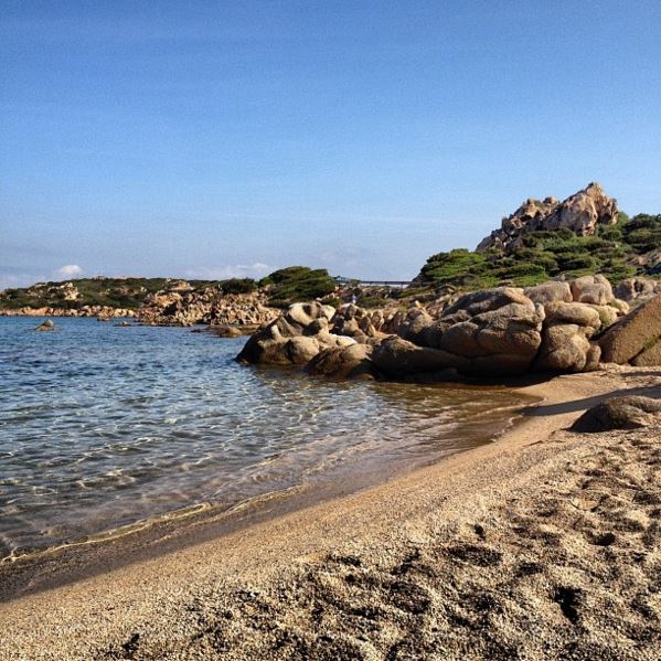Spiaggia del Cardellino (Isola della Maddalena) Spiaggia del Cardellino (Isola della Maddalena)