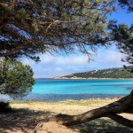 Spiaggia del Pevero