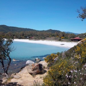 Cala Pira Spiaggia