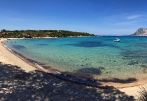 Cala Suaraccia (Capo Coda Cavallo)