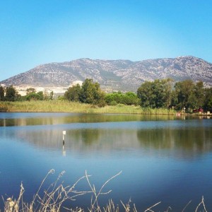 Foce del fiume Cedrino