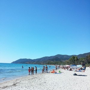 Melisenda