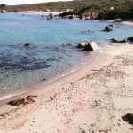 Rena di Matteu (Aglientu)