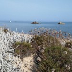 Riu di Li Saldi (Vignola Mare)