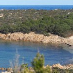 Spiaggia Li Nibani (Arzachena)