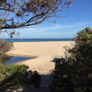 Spiaggia Lu Litarroni (Aglientu)