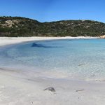 Spiaggia Poltu di Li Cogghj