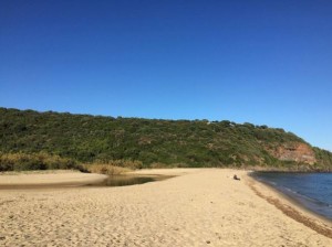 Spiaggia di Cala Cartoe