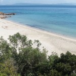 Girin (Isola San Pietro)