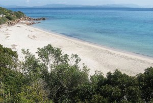 Girin (Isola San Pietro)