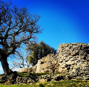 Nuraghe Adoni (Villanova Tulo)