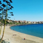Portopaglietto
