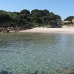 Punta Nera (Isola di San Pietro)