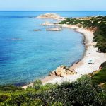Spiaggia Masoni Brandi