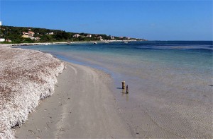 Spiaggia Tacca Rossa (Isola di San Pietro)