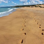 Spiaggia di Piscinas (Arbus)