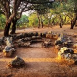 Tombe Neolitiche Pranu Muttedu (Goni)