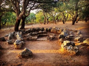 Tombe Neolitiche Pranu Muttedu (Goni)