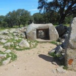 Tombe Neolitiche di Pranu Muttedu (Goni)