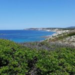 Cala Coscia di Donna (Stintino)