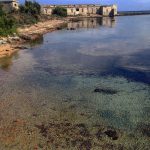 Cala Reale (Isola Asinara)