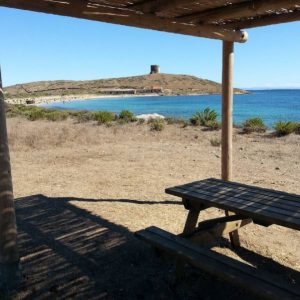 Cala Trabuccato (Isola Asinara)