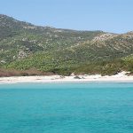 Cala d'Arena (Isola Asinara)