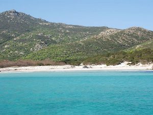 Cala d'Arena (Isola Asinara)