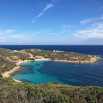 Cala dei Ponzesi (Isola Asinara)