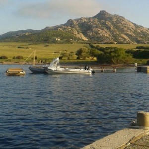Fornelli (Isola Asinara)