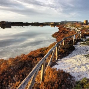 Sistema retrodunale Le Saline (Stintino)