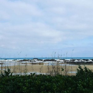 Sistema retrodunale Le Saline (Stintino)