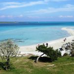 Spiaggia La Pelosa (Stintino)