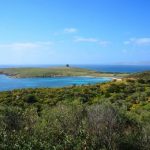 Spiaggia Lu Caroni (Isola Asinara)