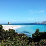 Spiaggia della Pelosa (Sardegna)