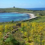 Spiaggia di Cala Barche Napoletane (Isola Asinara)