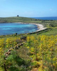 Spiaggia di Cala Barche Napoletane (Isola Asinara)