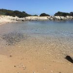 Spiaggia di Punta Negra (Stintino)