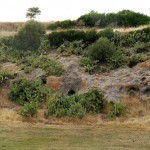 Domus de Janas Sas Concas (Oniferi)