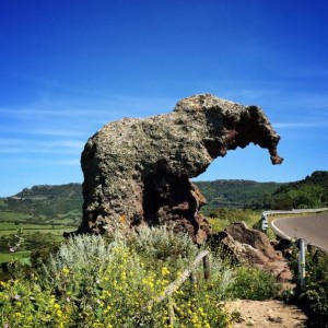 Roccia dell'Elefante a Castelsardo