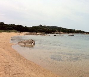Spiaggia Liscia Rena