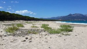 Spiaggia di Iscrixedda