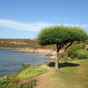 Spiaggia di S'Abba e Sa Pedra