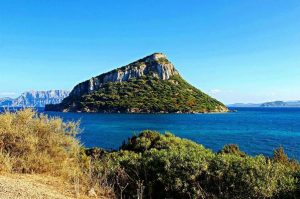 Isola di Figarolo