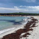 Spiaggia Sa Capannizza (Budoni)